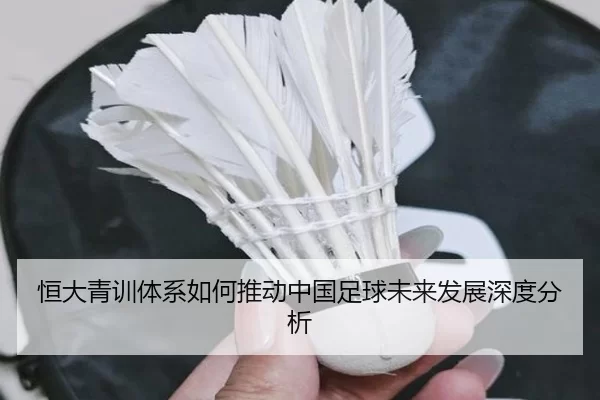 恒大青训体系如何推动中国足球未来发展深度分析